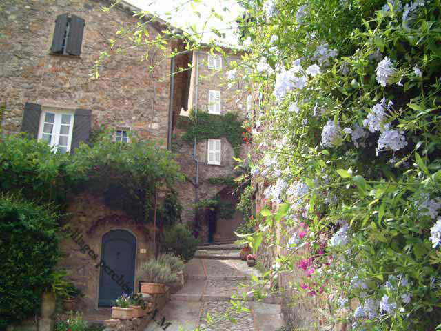 Une des rues fleuries