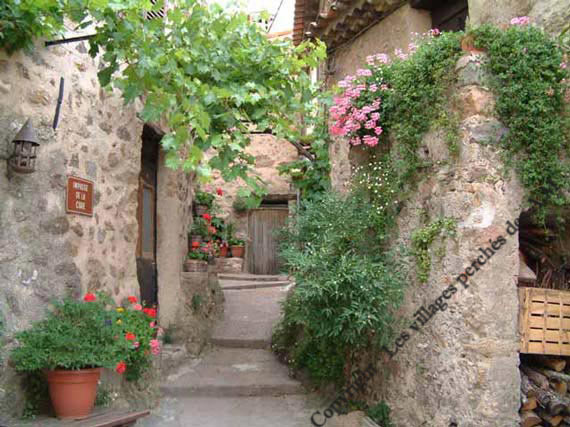 Encore et toujours des fleurs