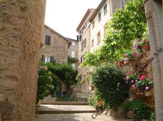 La placette