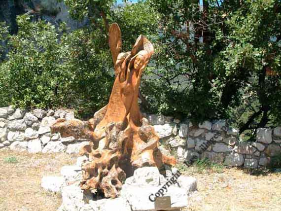 Olivier sculpt� sur le chemin du ch�teau