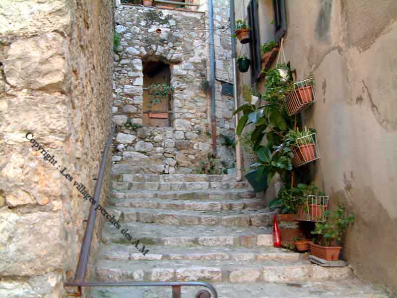 Rue