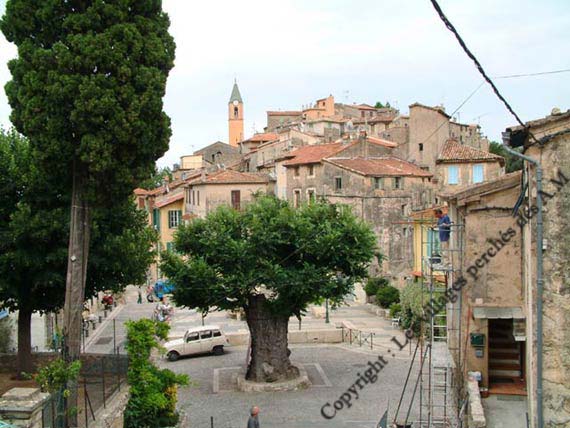 En premier plan l'orme