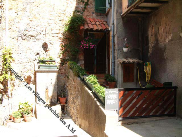 Rue
