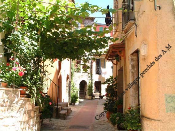 Une des nombreuses rues fleuries