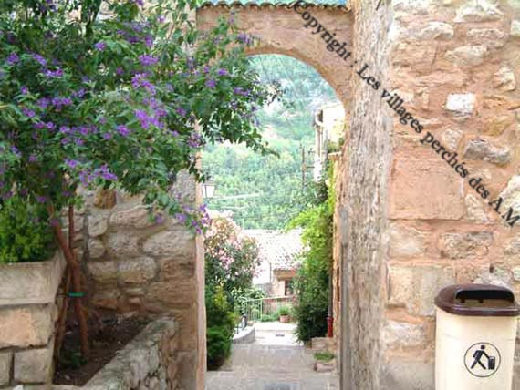 Voute fleurie