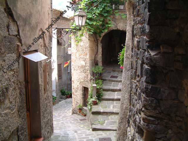 Ruelle