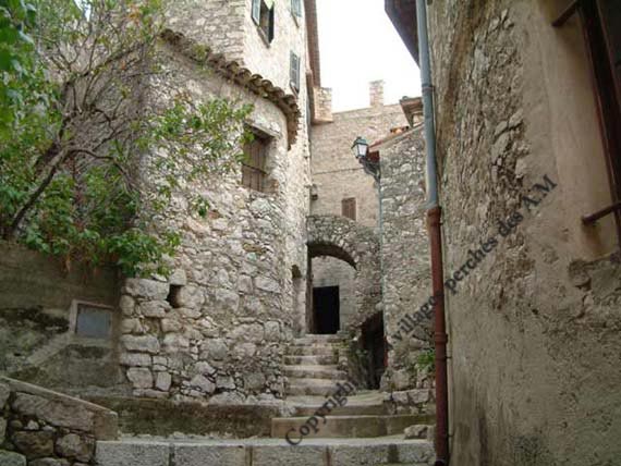 Ruelle
