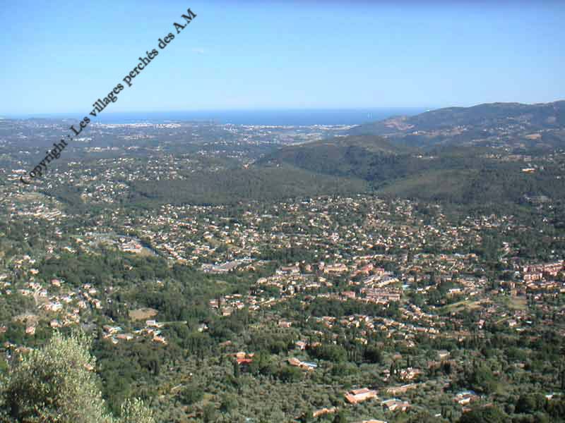 cabris