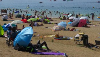 , Au bord des lacs de la forêt d’Orient, bonnes nouvelles et dossiers sans fin