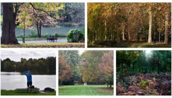 , Lille et la métropole : 5 lieux où admirer l’automne