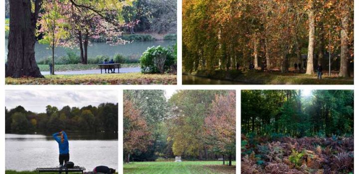 , Lille et la métropole : 5 lieux où admirer l’automne