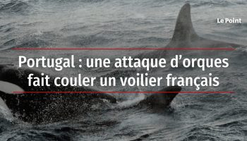 , Un voilier français coulé par des orques au Portugal